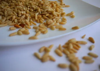 Китай получил почти три тысячи тонн кедровых орехов от Новосибирска