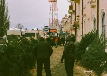 Стали известны адреса елочных базаров в Новосибирске