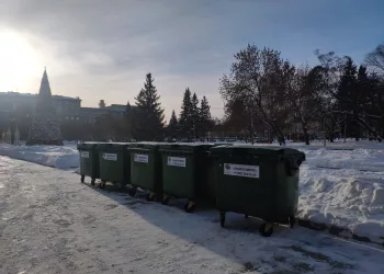 Двойной вывоз ТКО организуют в Новосибирске на Новый год