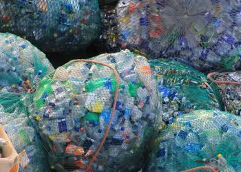 Под Новосибирском уменьшили участок для строительства мусороперерабатывающего комплекса