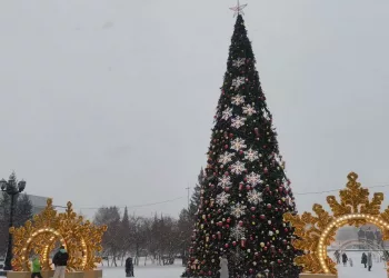 В Новосибирске рассказали, когда уберут главную елку и снимут украшения