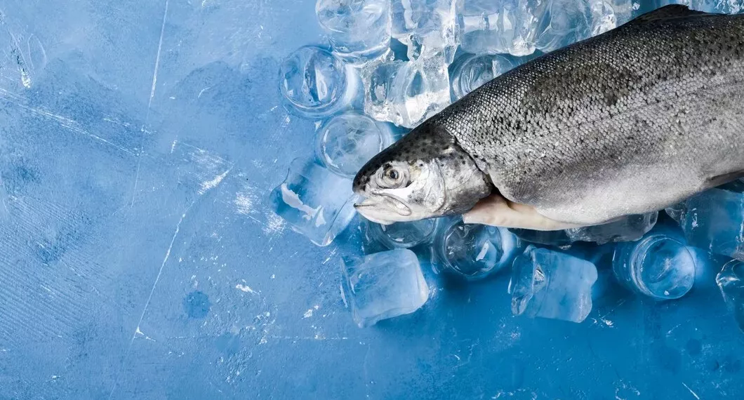 Новосибирская область экспортировала 34 тонны рыбы в Китай