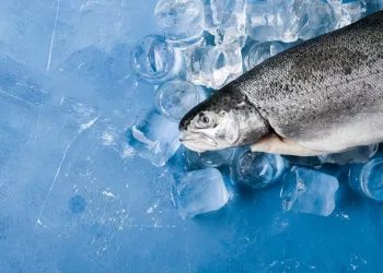 Новосибирская область экспортировала 34 тонны рыбы в Китай