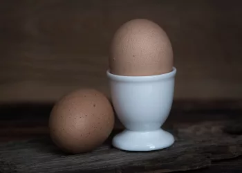 Турция доставила в Россию первую партию яиц