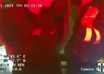 Полицейские «заломали» пьяного угонщика ВАЗа под Новосибирском