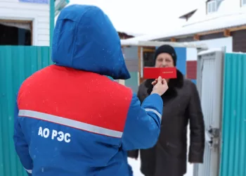 За 2023 год энергетикам АО «РЭС» удалось пресечь более 700 фактов энерговоровства в Новосибирской области