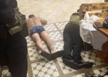 Жительница Новосибирска организовала банду проституток, проработавшую почти два года