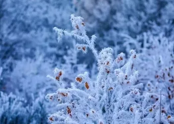 Аномальные морозы до -38 придут в Новосибирскую область