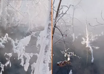 «Озеро кипятка» обнаружили жители Новосибирска