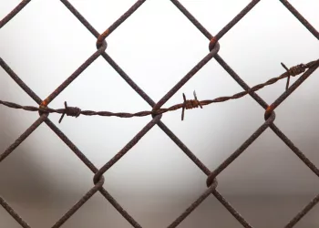 Путин подписал указ о помиловании 52 осужденных женщин