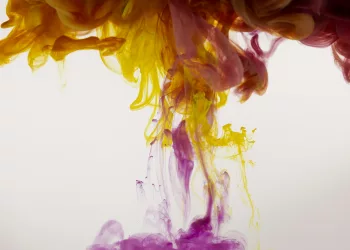 Полицейские задержали жительницу Новосибирска — она залила бюллетени