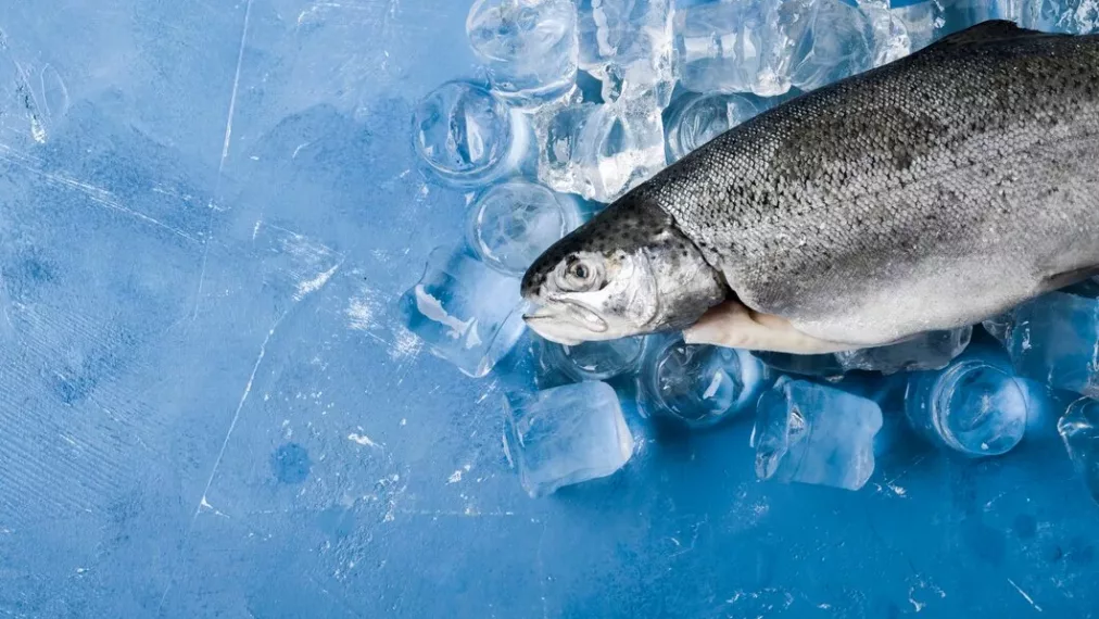 Рыбаков в Новосибирской области призвали закончить сезон зимней рыбалки