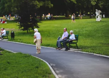 В Новосибирской области за год количество пенсионеров сократилось более чем на 12 тысяч человек