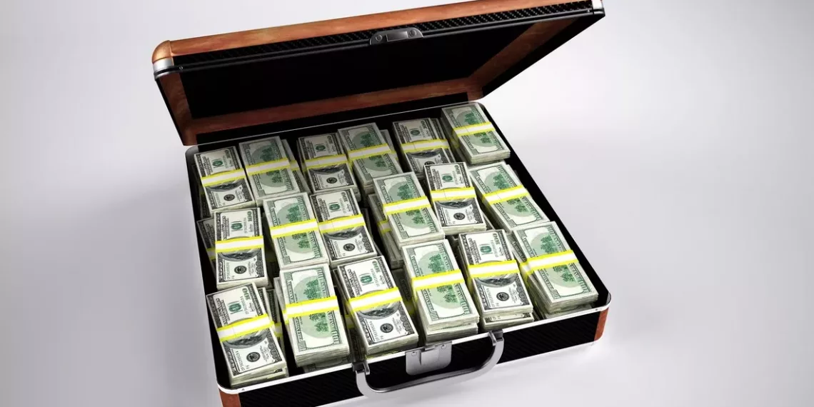 В новосибирском аэропорту собака по кличке Эмма унюхала «лишний» миллион в багаже пассажира