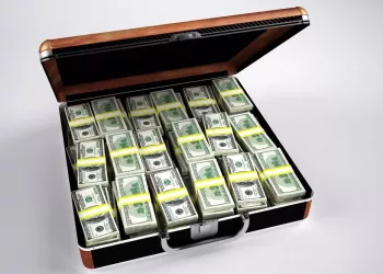 В новосибирском аэропорту собака по кличке Эмма унюхала «лишний» миллион в багаже пассажира