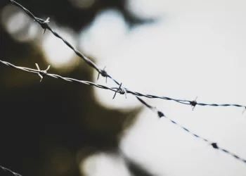 Экс-прокурора Новосибирска Ференца потребовали посадить на пять лет