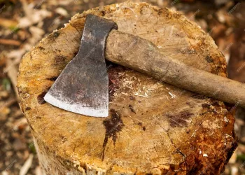 Из-за ревности мужчина ударил знакомого топором по голове в Новосибирске