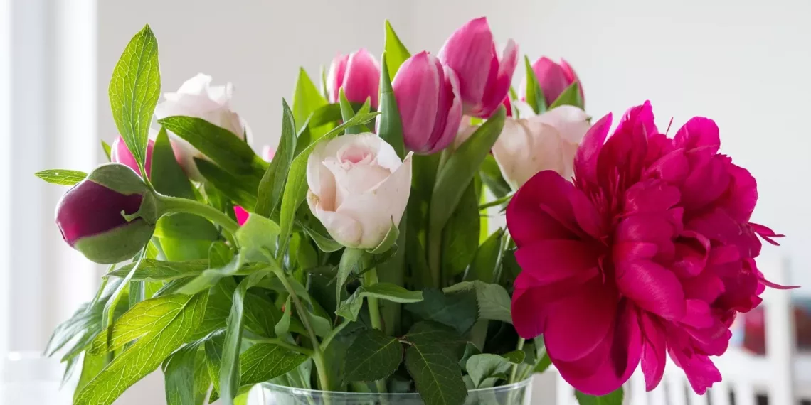 Сибиряки остались без роз и тюльпанов из-за мошенников