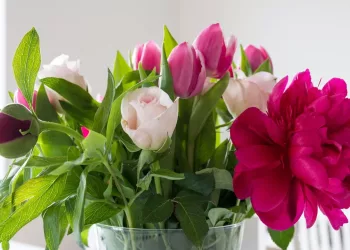 Сибиряки остались без роз и тюльпанов из-за мошенников