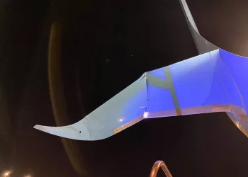 Самолет, направлявшийся из Пулково в Новосибирск, получил удар по крылу