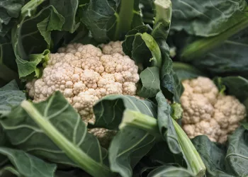 Рекомендации по апрельскому рациону питания опубликовал Роспотребнадзор