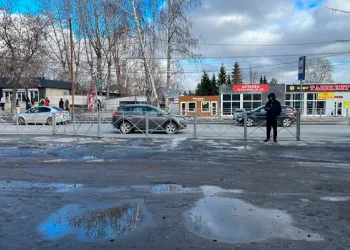 Власти закрыли нелегальные ярмарки в Хилокском микрорайоне Новосибирска