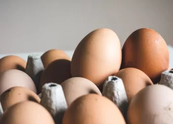 ФАС начала проверку цен на куриные яйца в российских торговых сетях