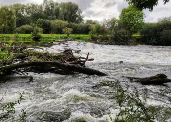 Приусадебные участки подтопило на Алтае