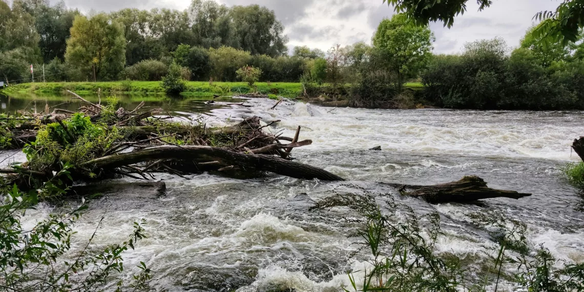 Приусадебные участки подтопило на Алтае