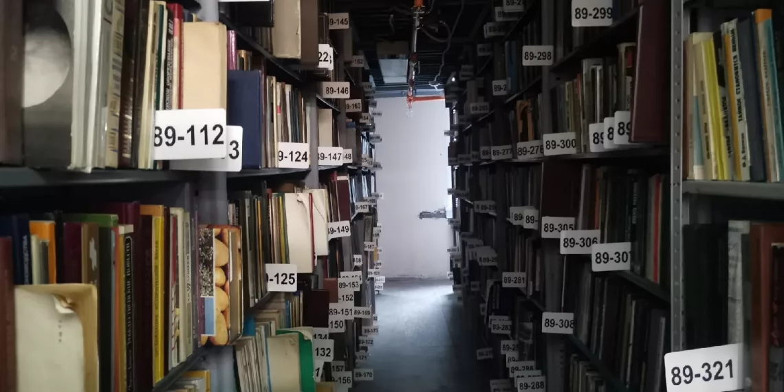 Куда сходить в Новосибирске на «Библионочь» — 2024