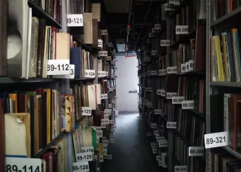 Куда сходить в Новосибирске на «Библионочь» — 2024