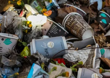 Мигранты устроили свалку в Новосибирске — СК проведет проверку