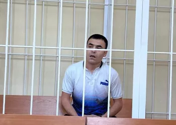 Мигранту оставили в силе приговор за поджог 10 элитных авто в Новосибирске