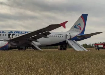 Топ-менеджеров авиакомпании могут уволить за посадку самолета в поле под Новосибирском