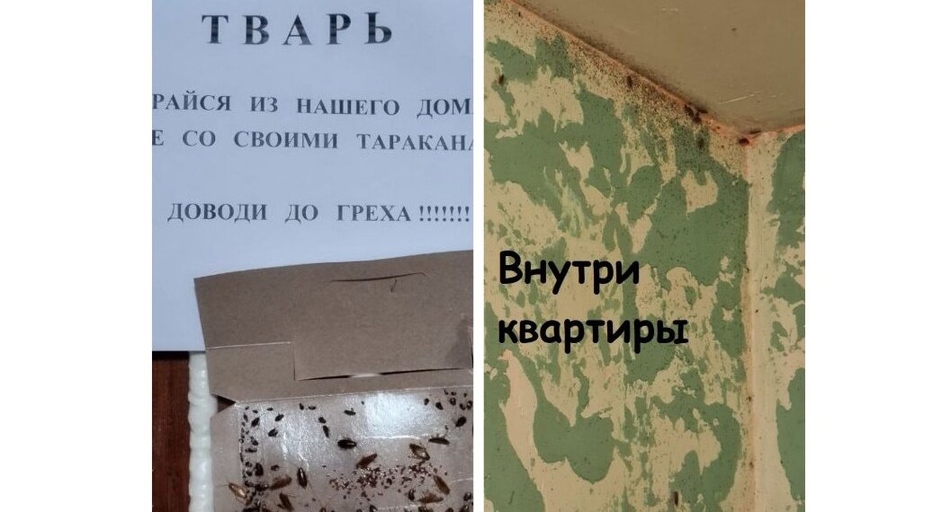 «Нехорошую квартиру» с мигрантами и тараканами в Новосибирске проверит СК