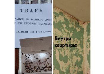 «Нехорошую квартиру» с мигрантами и тараканами в Новосибирске проверит СК