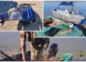 Рыбака ждет суд за ловлю краснокнижного осетра в Сибири