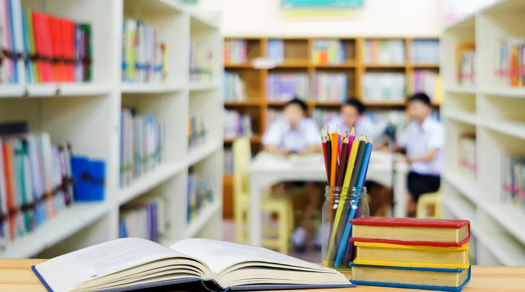 В России у школьников средних классов уберут обществознание из программы