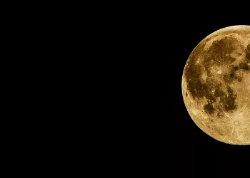 Когда садить рассаду в грунт – лунный календарь подскажет