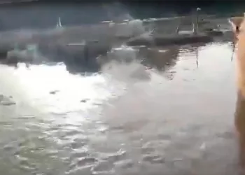 Прокуратура занялась затоплением улицы поселка Верх-Тула под Новосибирском