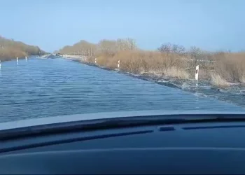 Проезд международным автобусам запретили под Новосибирском из-за паводков