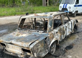 Три местных жителя угнали машину и сожгли ее под Новосибирском