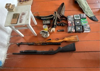 Более 400 боеприпасов и 6 ружей изъяли у жителей Новосибирской области