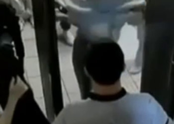 «Пришлось раздеваться»: школьницы пожаловались на неадекватные осмотры перед ЕГЭ