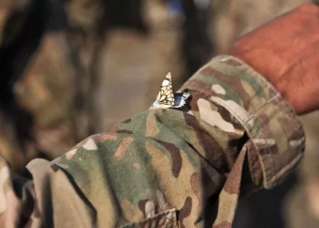 Военный из Новосибирска получил шесть лет колонии за двойной уход в самоволку