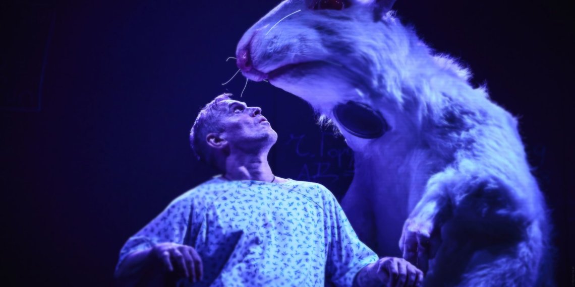 «Он подопытный, как мышь»: новосибирцы увидели премьерный спектакль «Цветы для Элджернона»