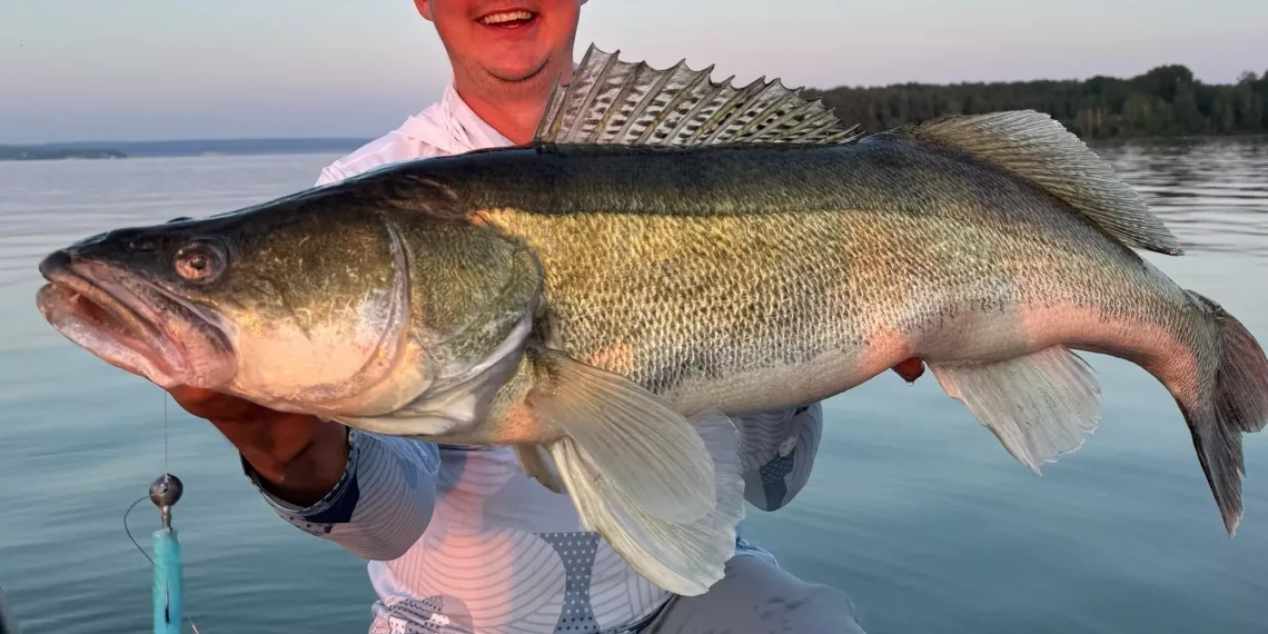 Судака весом более 10 кг поймал житель Новосибирска