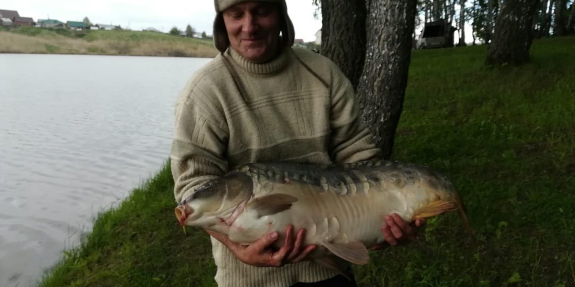 Карпа-гиганта весом почти 20 кг поймал житель Новосибирска