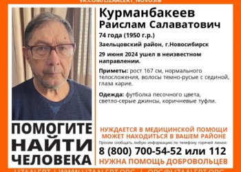 Пенсионер в очках и песочной футболке пропал в День города в Новосибирске