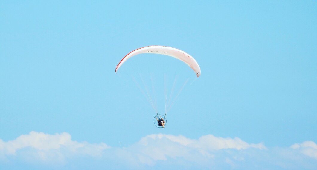 Парашютистка при приземлении застряла на дереве в Томской области